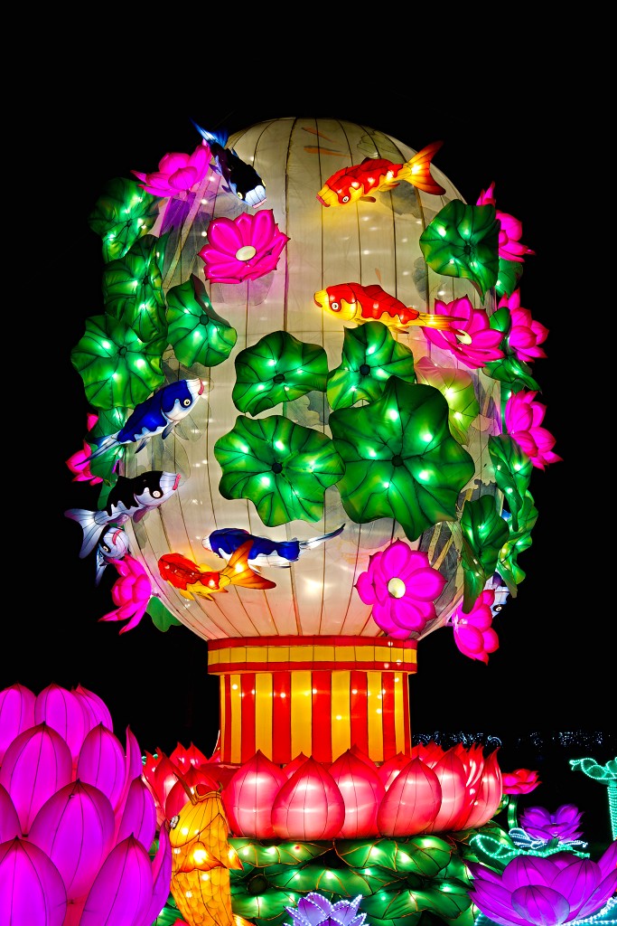 china light licht festival lichtshow show festiviteit glow evenement event chinees chinese verlichting draak dragon lichtfestival zoo